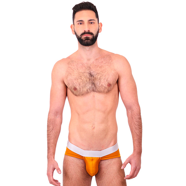 BASIC - BIKINI BRIEF BULGE OCRE/SILVER