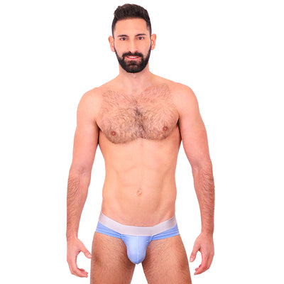 BASIC - BIKINI BRIEF BULGE PLUMBAGO/SILVER
