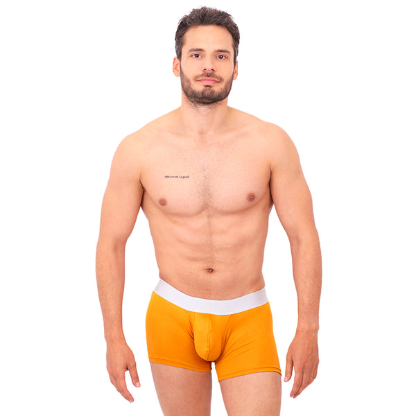 BASIC -  BOXER TRUNK BRIEF BULGE OCRE/SILVER