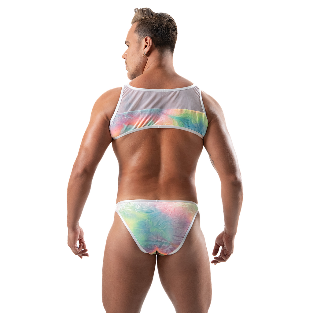 EVERYDAY PRIDE - BIKINI SLIM BRIEF VELVET