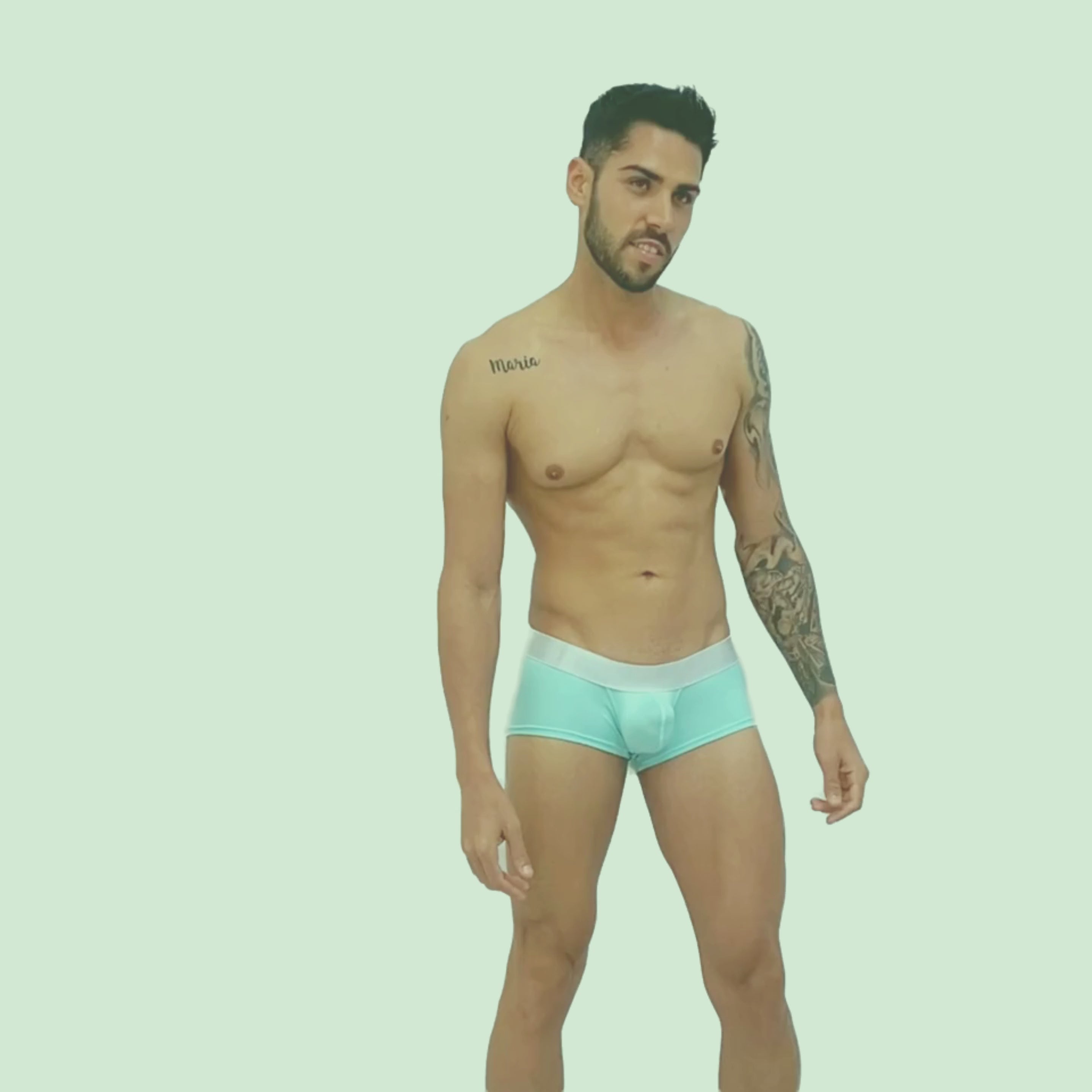 BASIC - BOXER LOW RISE TRUNK BRIEF BULGE MINT/SILVER