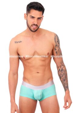 BASIC BOXER BRIEF -04