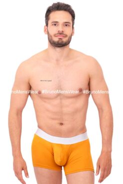 BASIC BOXER/L BRIEF -02