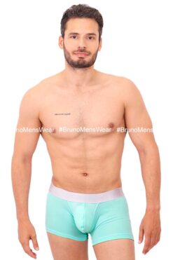 BASIC BOXER/L BRIEF -04