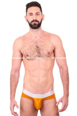 BASIC BIKINI BRIEF - 02