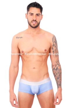BASIC BOXER BRIEF