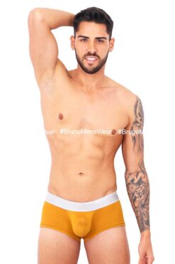 BASIC BOXER BRIEF -02
