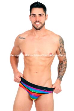 SWIMWEAR 01 PRIDE - COLLECTION