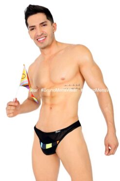 Retro Pride - BIKINI MESH